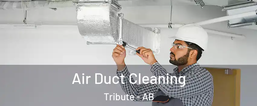  Air Duct Cleaning Tribute - AB
