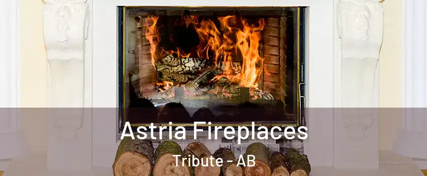  Astria Fireplaces Tribute - AB