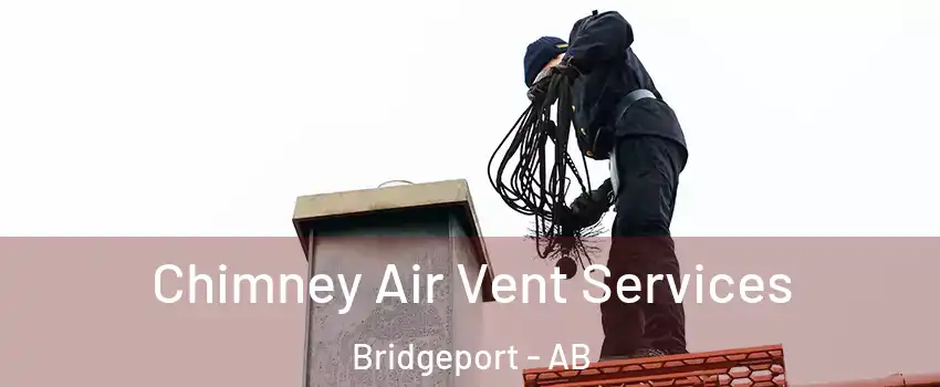  Chimney Air Vent Services Bridgeport - AB