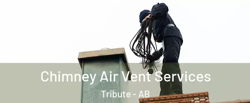  Chimney Air Vent Services Tribute - AB