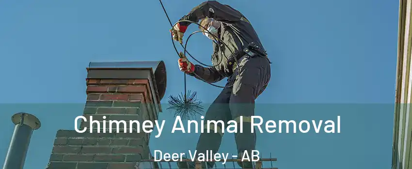  Chimney Animal Removal Deer Valley - AB
