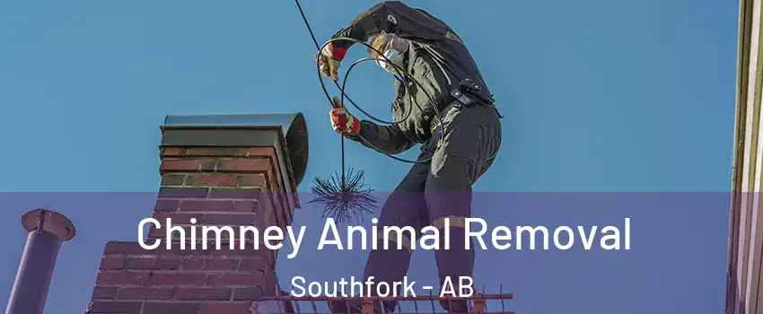  Chimney Animal Removal Southfork - AB
