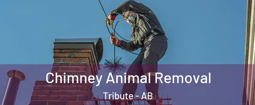  Chimney Animal Removal Tribute - AB