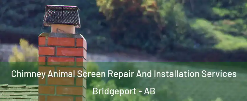  Chimney Animal Screen Repair And Installation Services Bridgeport - AB