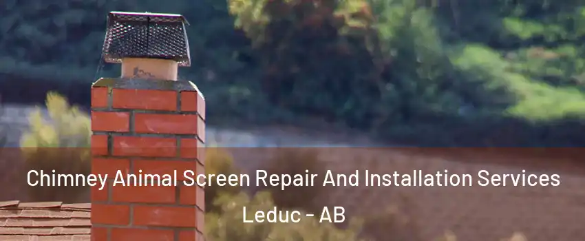  Chimney Animal Screen Repair And Installation Services Leduc - AB