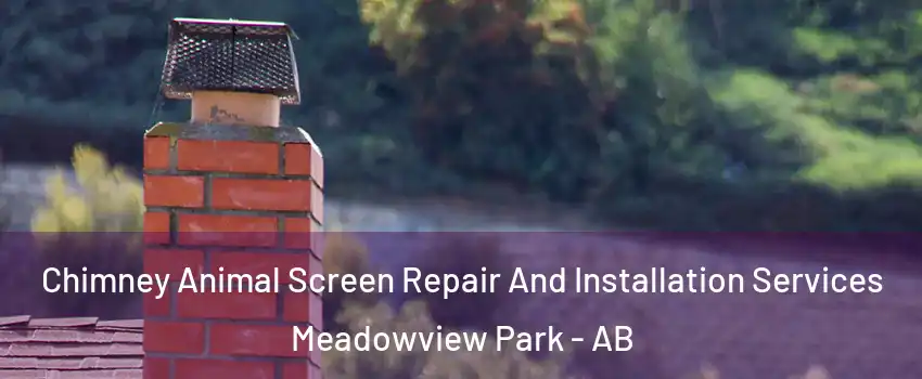  Chimney Animal Screen Repair And Installation Services Meadowview Park - AB