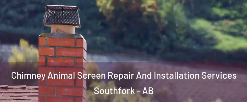  Chimney Animal Screen Repair And Installation Services Southfork - AB