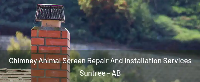  Chimney Animal Screen Repair And Installation Services Suntree - AB