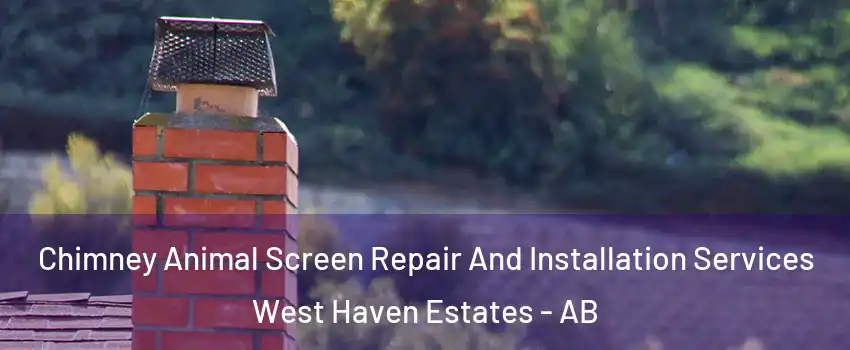  Chimney Animal Screen Repair And Installation Services West Haven Estates - AB