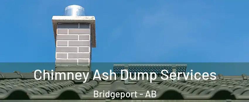  Chimney Ash Dump Services Bridgeport - AB