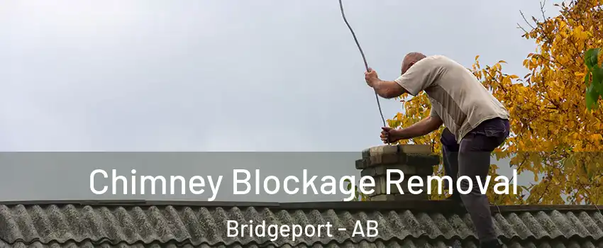  Chimney Blockage Removal Bridgeport - AB