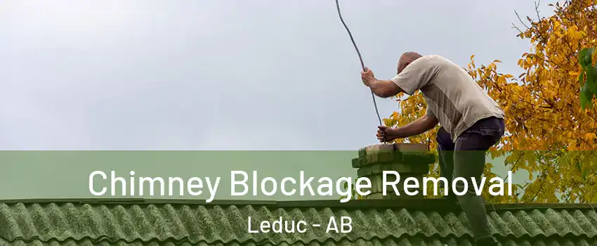  Chimney Blockage Removal Leduc - AB