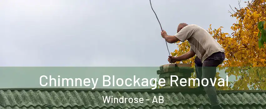  Chimney Blockage Removal Windrose - AB