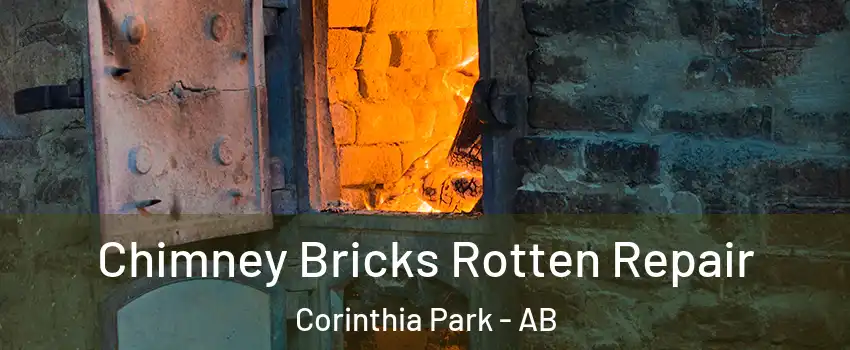  Chimney Bricks Rotten Repair Corinthia Park - AB