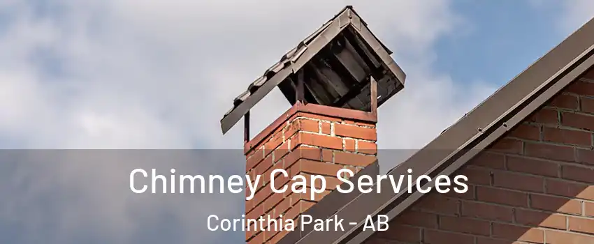  Chimney Cap Services Corinthia Park - AB
