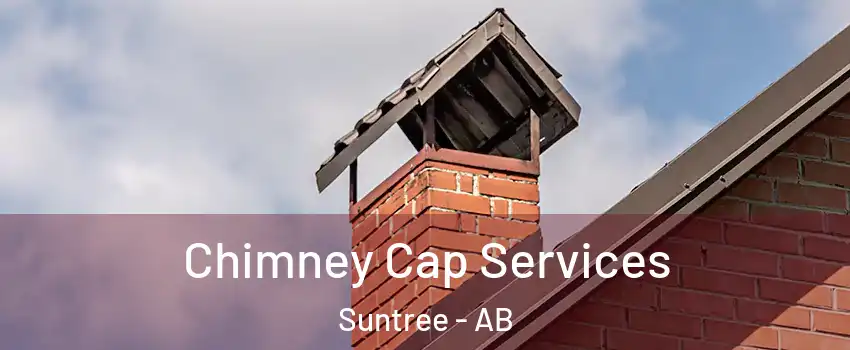  Chimney Cap Services Suntree - AB