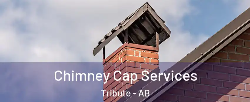  Chimney Cap Services Tribute - AB