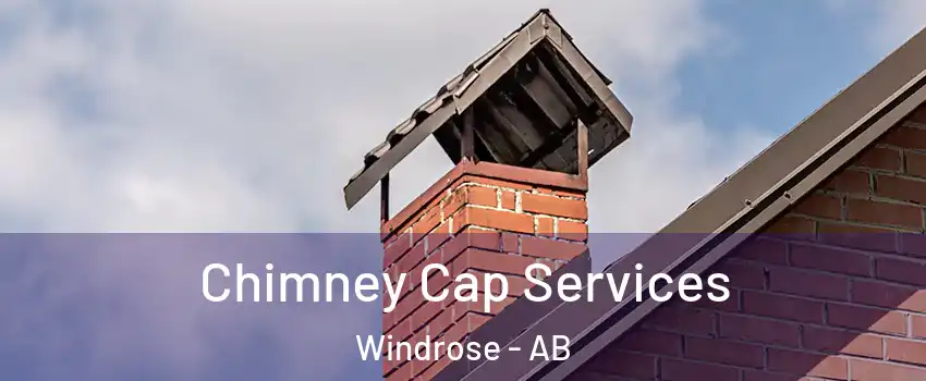  Chimney Cap Services Windrose - AB