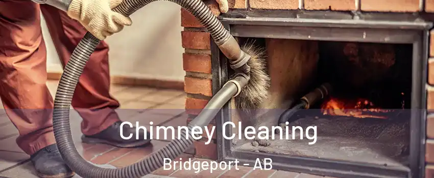  Chimney Cleaning Bridgeport - AB