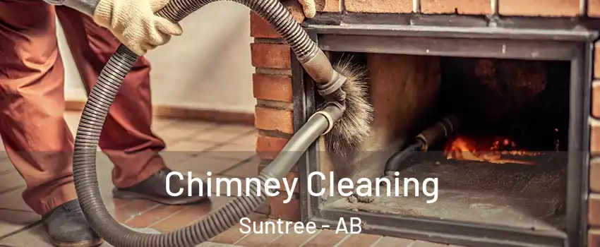  Chimney Cleaning Suntree - AB