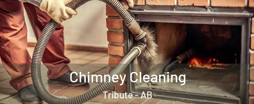  Chimney Cleaning Tribute - AB