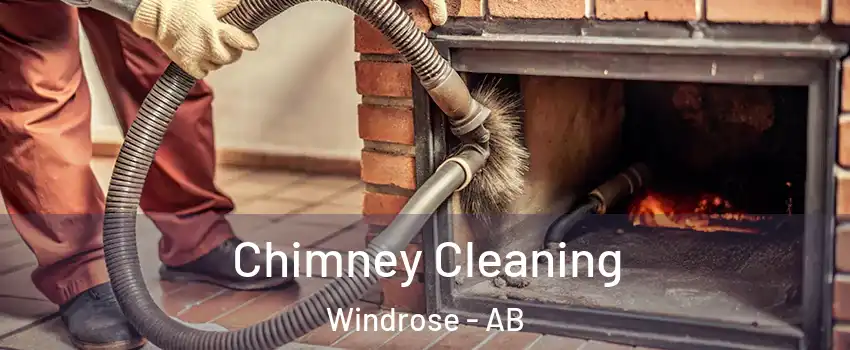  Chimney Cleaning Windrose - AB