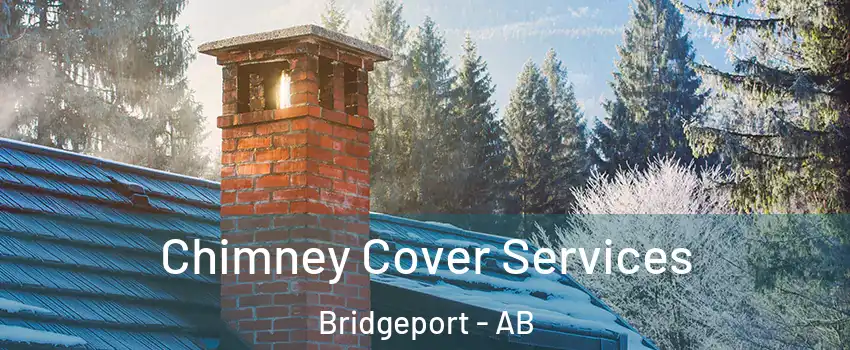  Chimney Cover Services Bridgeport - AB