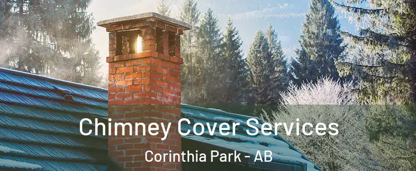  Chimney Cover Services Corinthia Park - AB