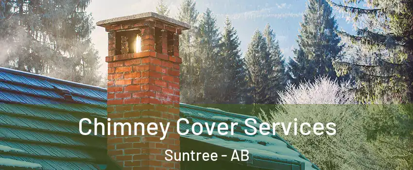  Chimney Cover Services Suntree - AB