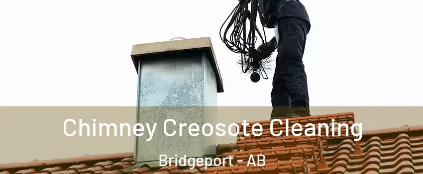  Chimney Creosote Cleaning Bridgeport - AB