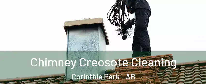  Chimney Creosote Cleaning Corinthia Park - AB