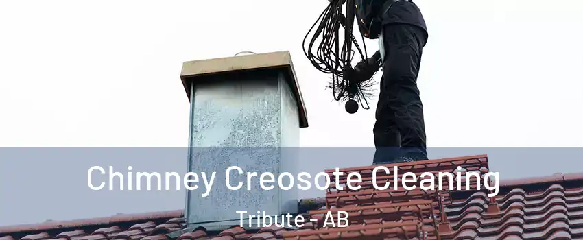  Chimney Creosote Cleaning Tribute - AB