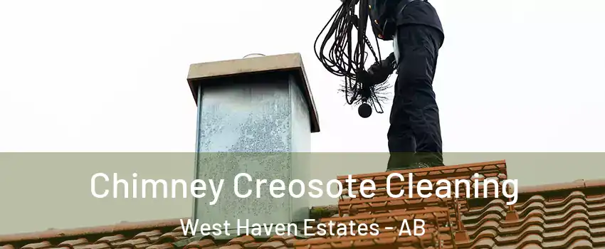  Chimney Creosote Cleaning West Haven Estates - AB