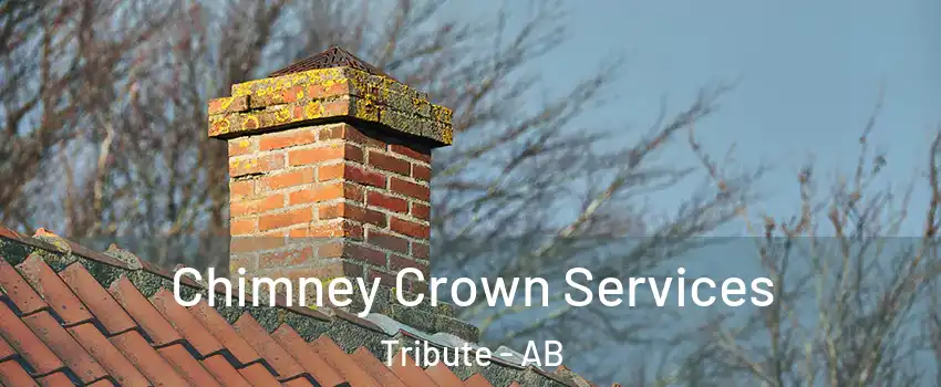 Chimney Crown Services Tribute - AB