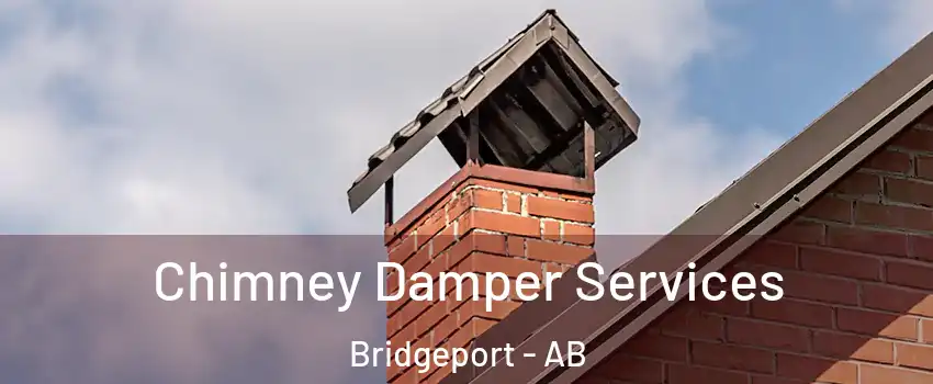  Chimney Damper Services Bridgeport - AB