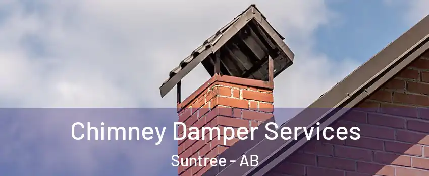  Chimney Damper Services Suntree - AB