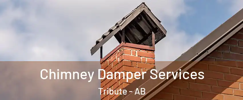  Chimney Damper Services Tribute - AB