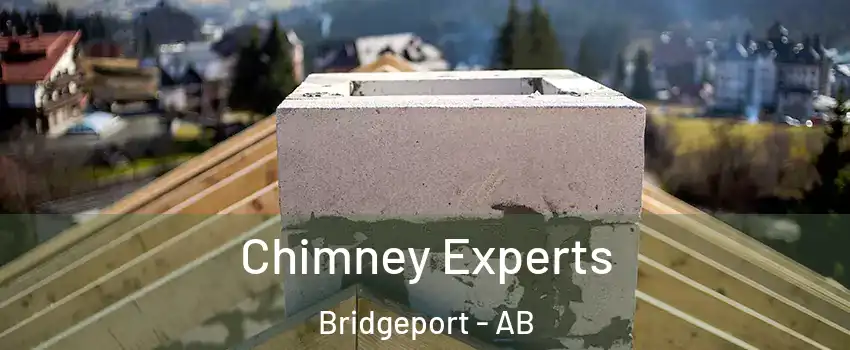  Chimney Experts Bridgeport - AB