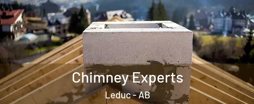  Chimney Experts Leduc - AB