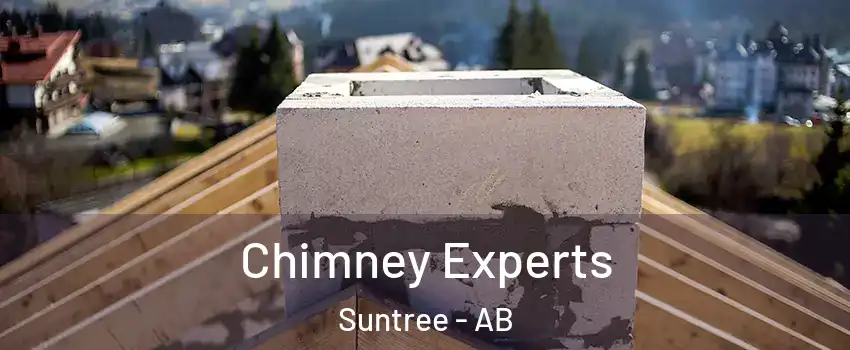  Chimney Experts Suntree - AB