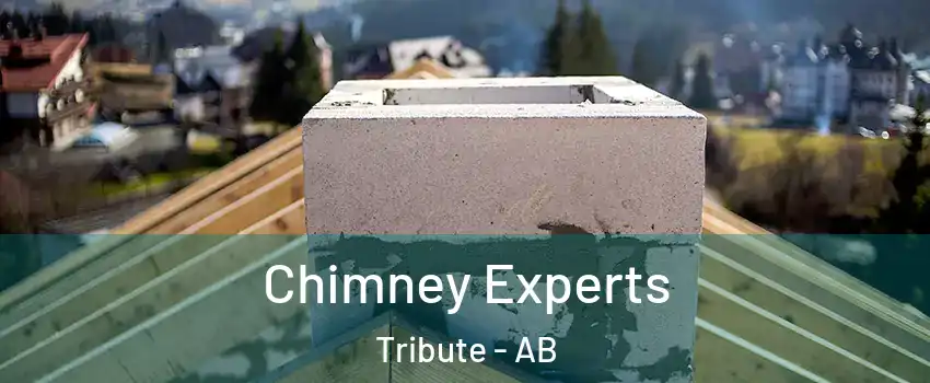  Chimney Experts Tribute - AB