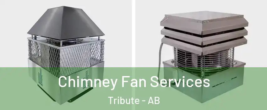  Chimney Fan Services Tribute - AB