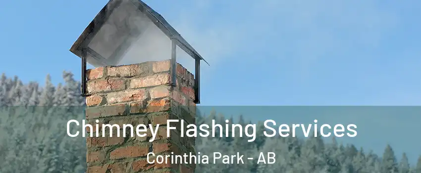  Chimney Flashing Services Corinthia Park - AB