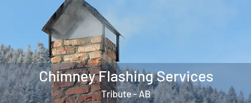 Chimney Flashing Services Tribute - AB