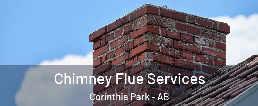  Chimney Flue Services Corinthia Park - AB