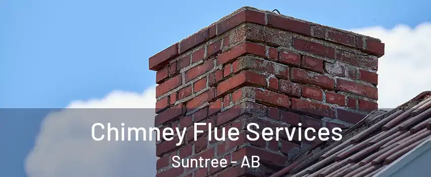  Chimney Flue Services Suntree - AB