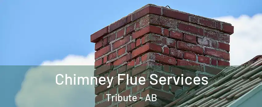  Chimney Flue Services Tribute - AB