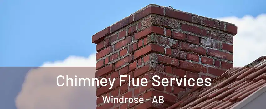  Chimney Flue Services Windrose - AB