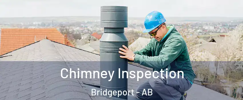 Chimney Inspection Bridgeport - AB