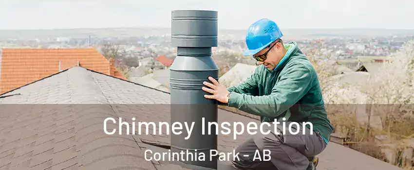  Chimney Inspection Corinthia Park - AB